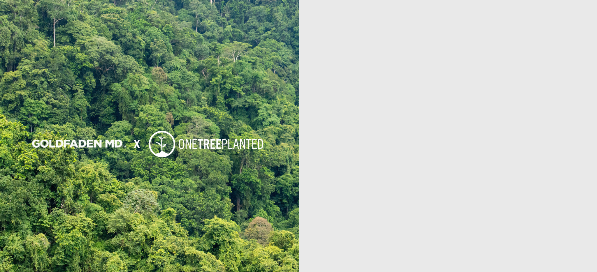Image of trees and 'One Tree Planted'' slogan
